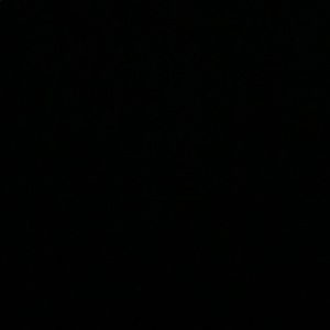 Meet your Posher, Tyshawn